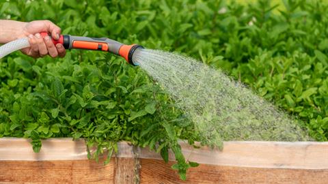 Customer Story: LettUs Grow